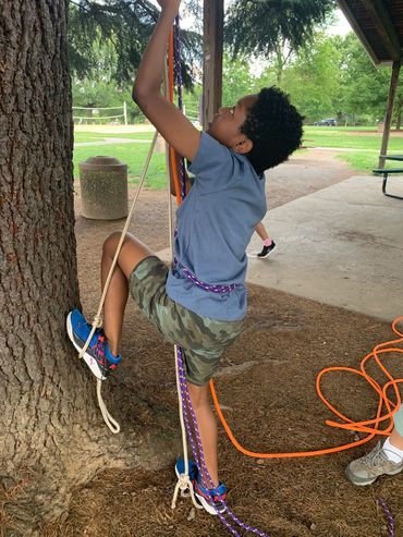 Child climbing rope on tree