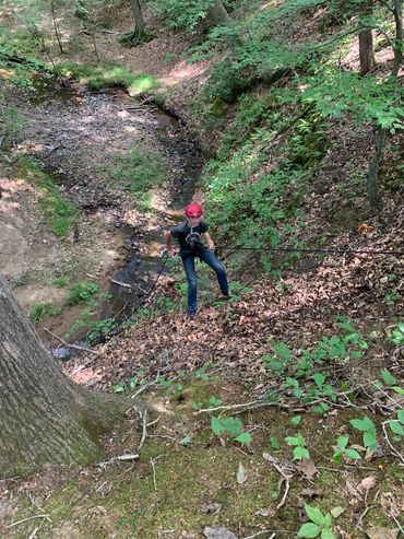 Hiker on forest trail